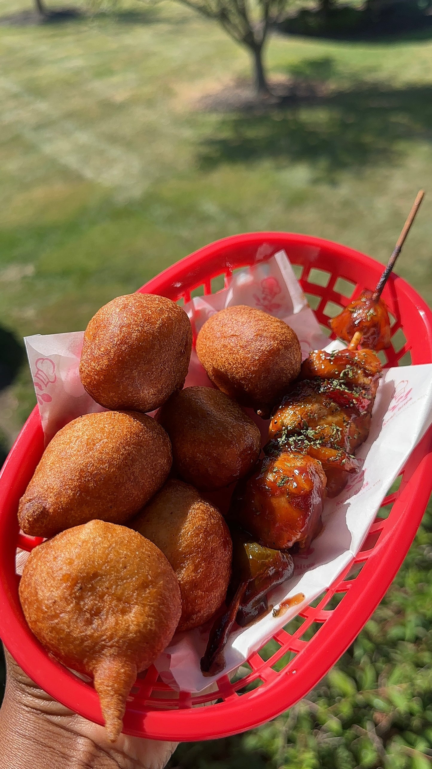 Chicken Kebab Combo (Personal)